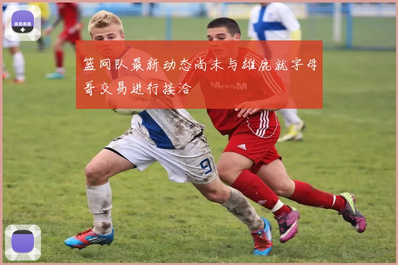 篮网队最新动态尚未与雄鹿就字母哥交易进行接洽